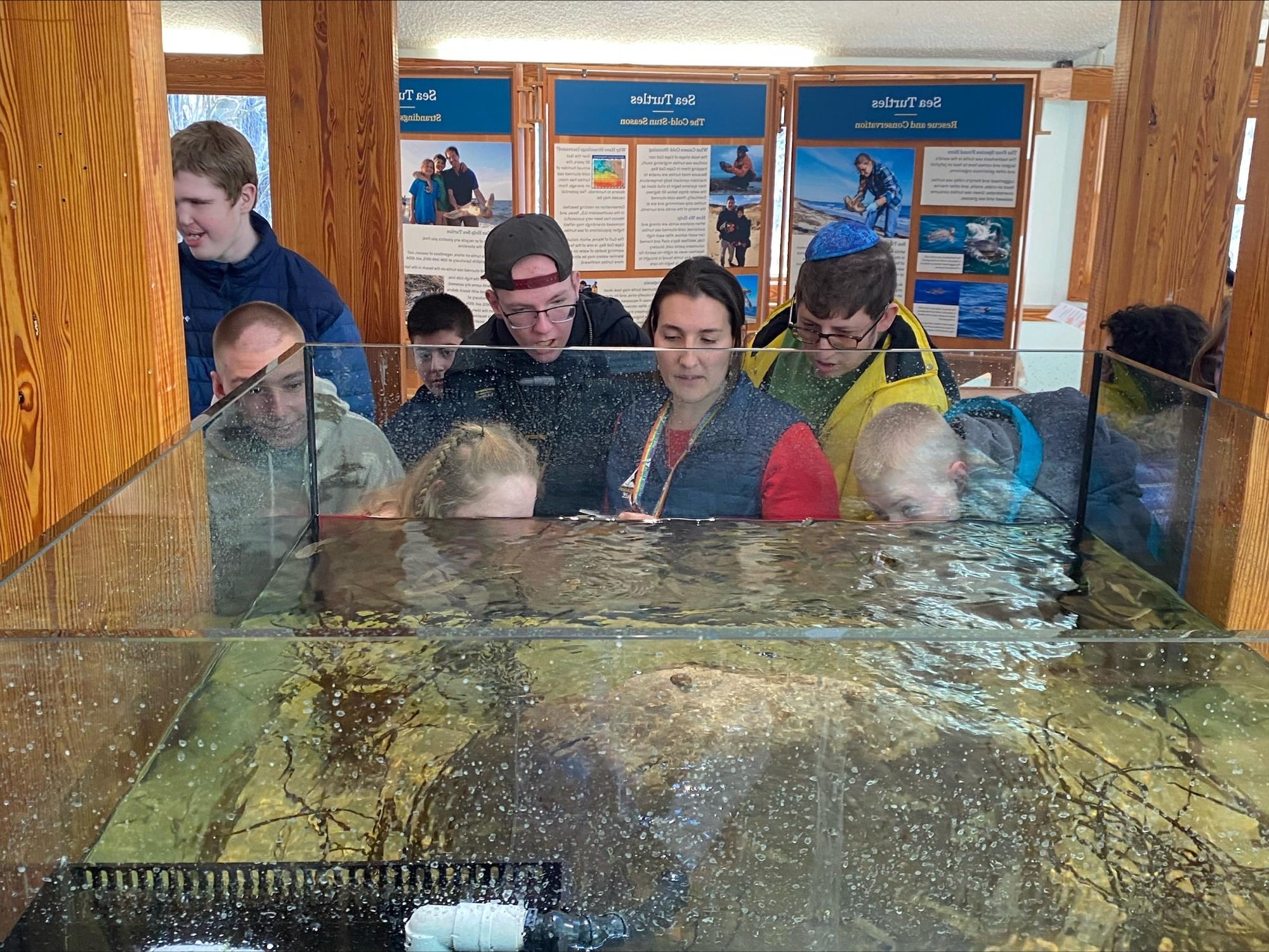 Students on Outing to local museum